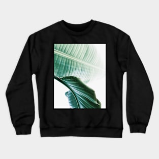 Banana leaves,Tropical leaves, Green leaves, Leaf, Modern art, Wall art, Print, Minimalistic, Modern, Scandinavian print Crewneck Sweatshirt